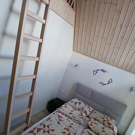 Pajurio Azuolo Istorija 9 *