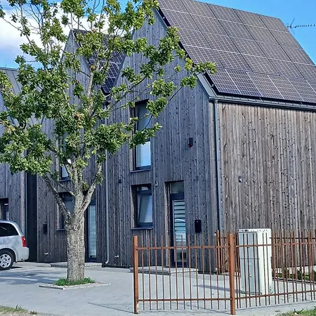 Pajurio Azuolo Istorija 9