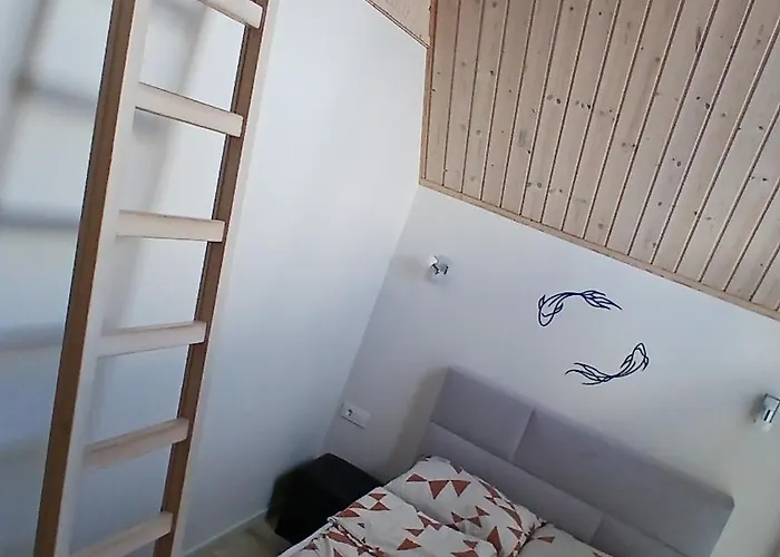 Pajurio Azuolo Istorija 9 *